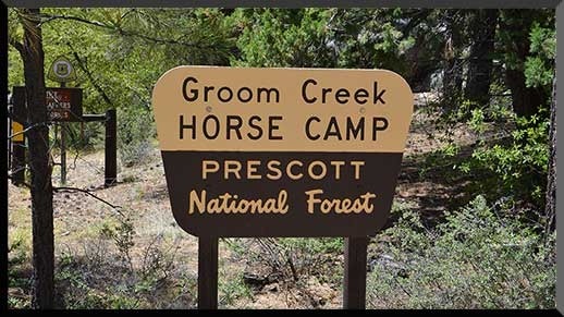 Horses love Prescott!
