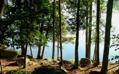 Discovering Prescott: Why Your Next Family Camping Trip Should Be Here